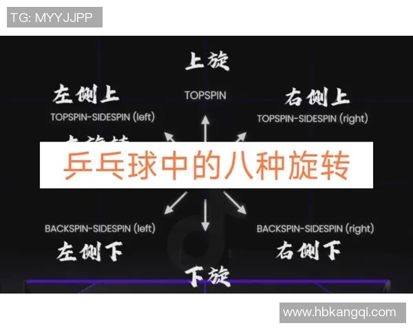 乒乓球的魅力：深入了解上海乒乓球队的默契配合与战术策略